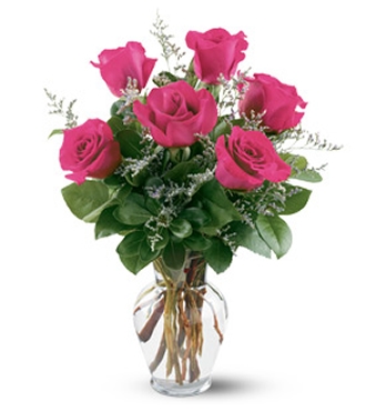 6 Rosas Fuscia # 69